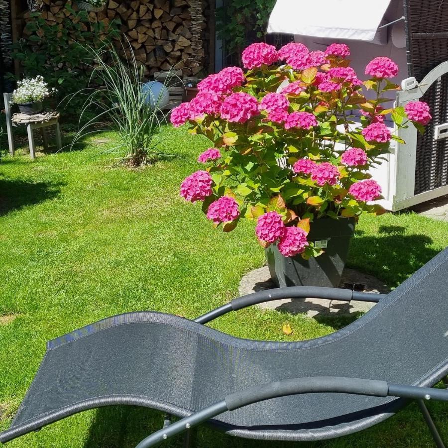 Ferienwohnung Möwennest Schillig Exterior foto