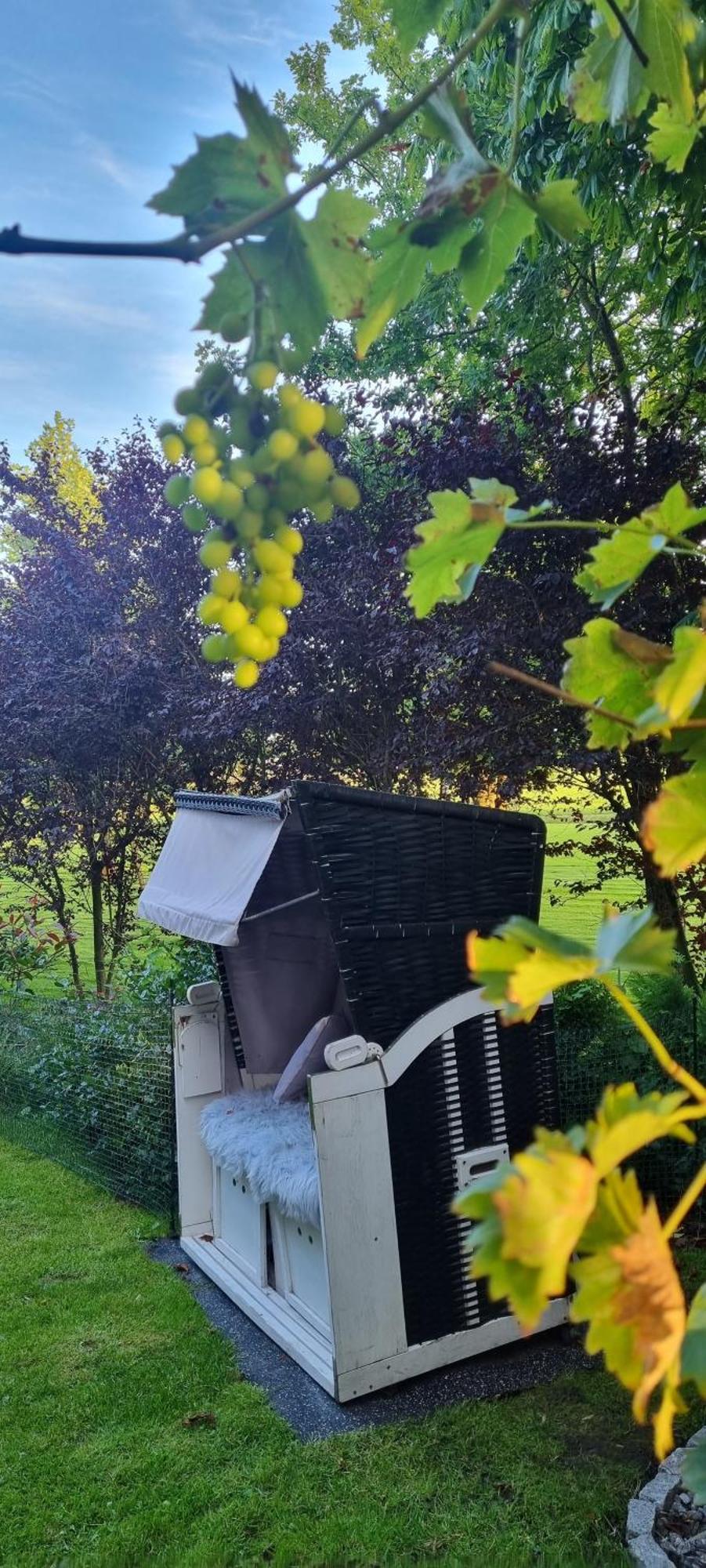Ferienwohnung Möwennest Schillig Exterior foto
